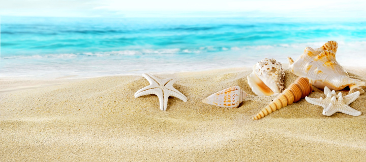 Fondo de pantalla Seashells on Sand Beach 720x320