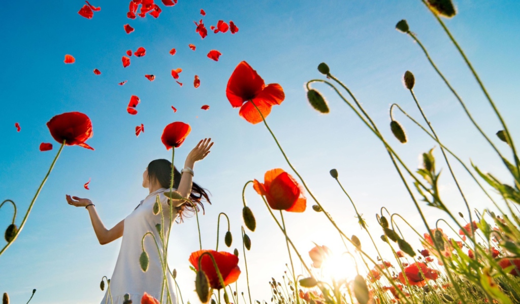 Обои Girl In Poppies 1024x600