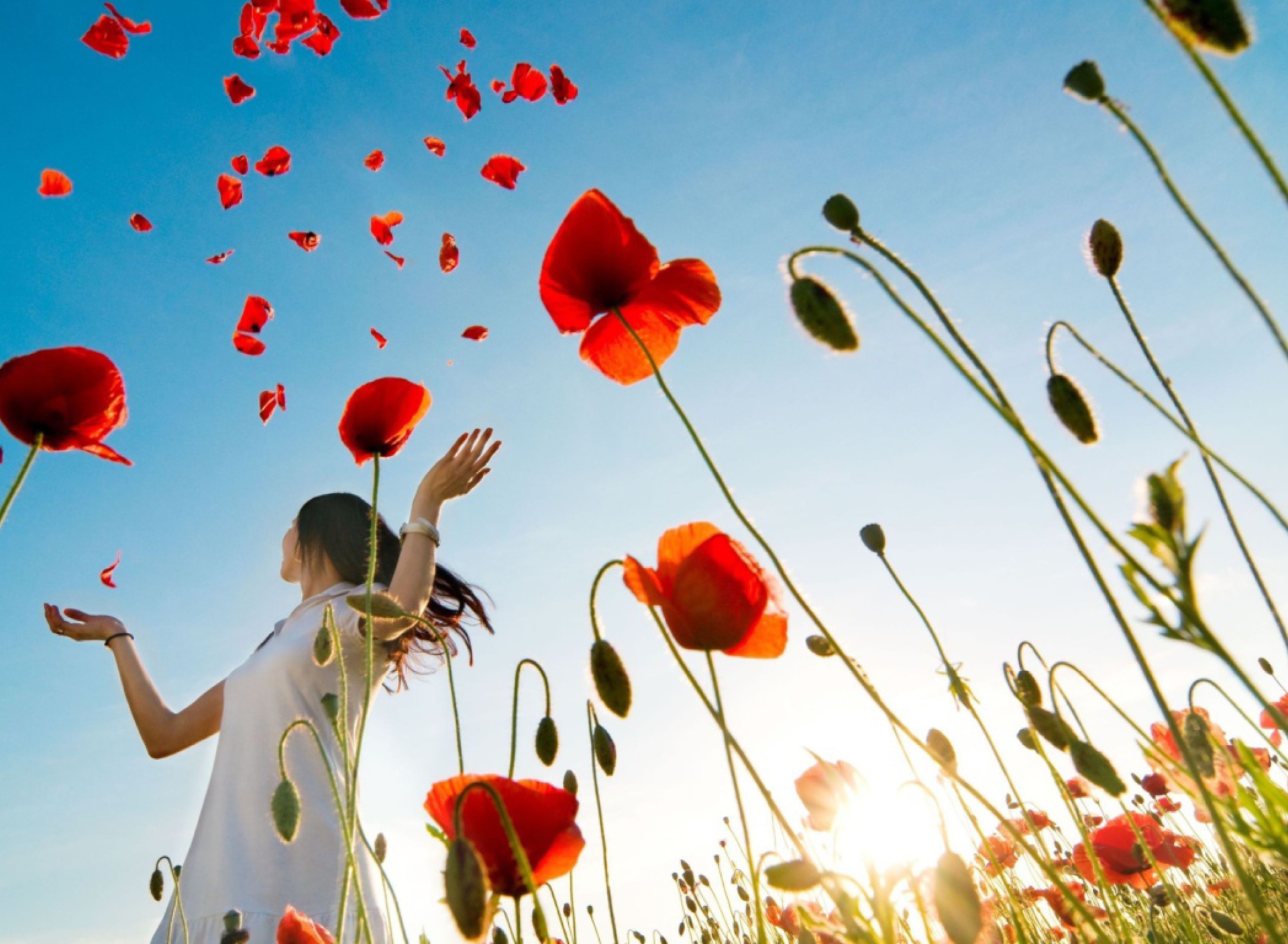 Das Girl In Poppies Wallpaper 1920x1408