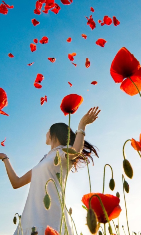 Das Girl In Poppies Wallpaper 480x800