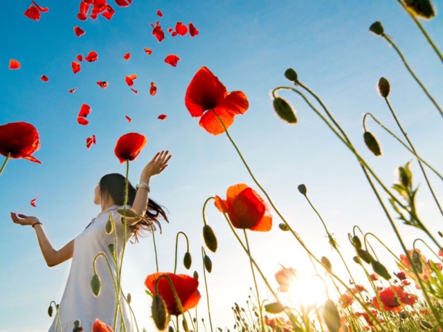 Sfondi Girl In Poppies 640x480