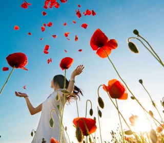 Girl In Poppies - Fondos de pantalla gratis para 1024x1024