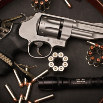 Das Smith & Wesson Revolver Wallpaper 208x208
