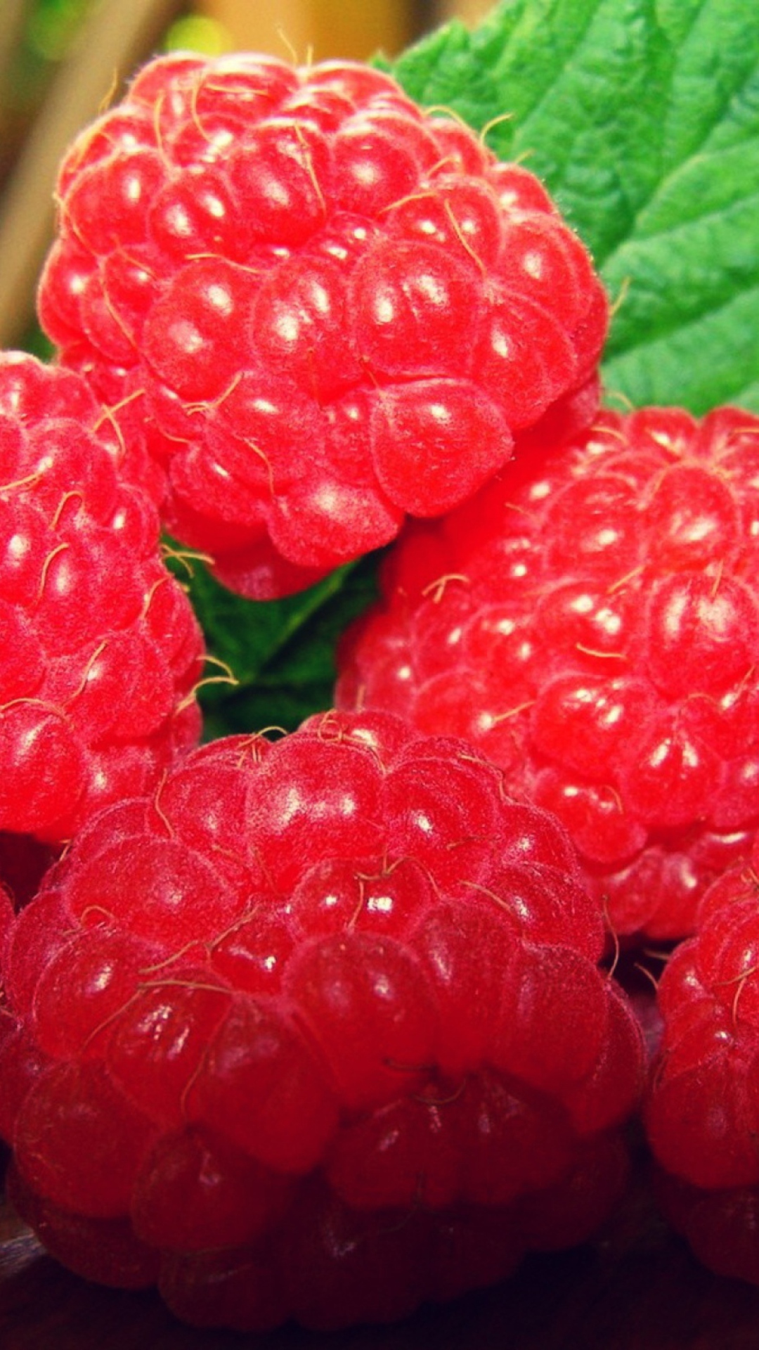 Das Raspberries Wallpaper 1080x1920
