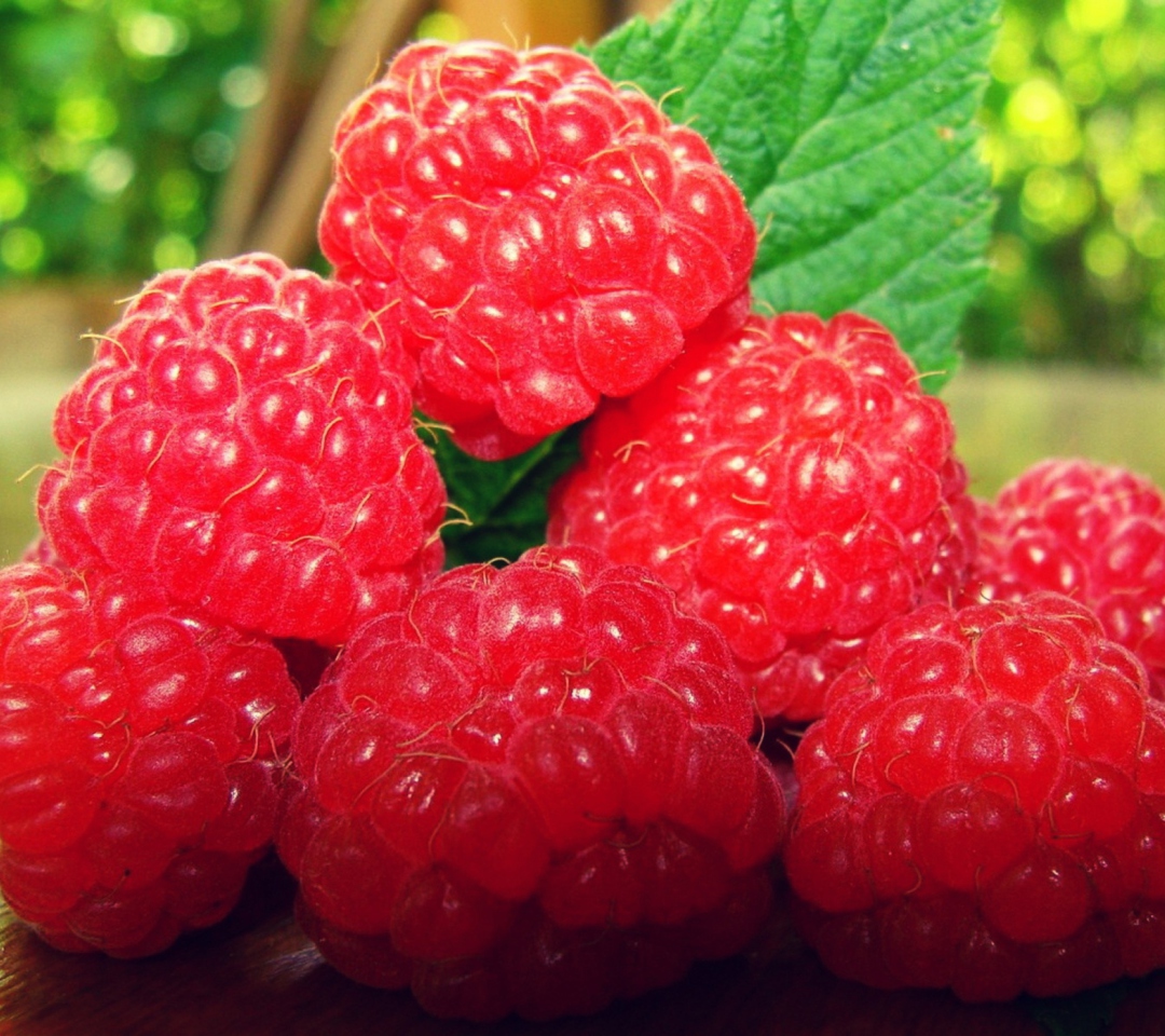 Raspberries screenshot #1 1080x960