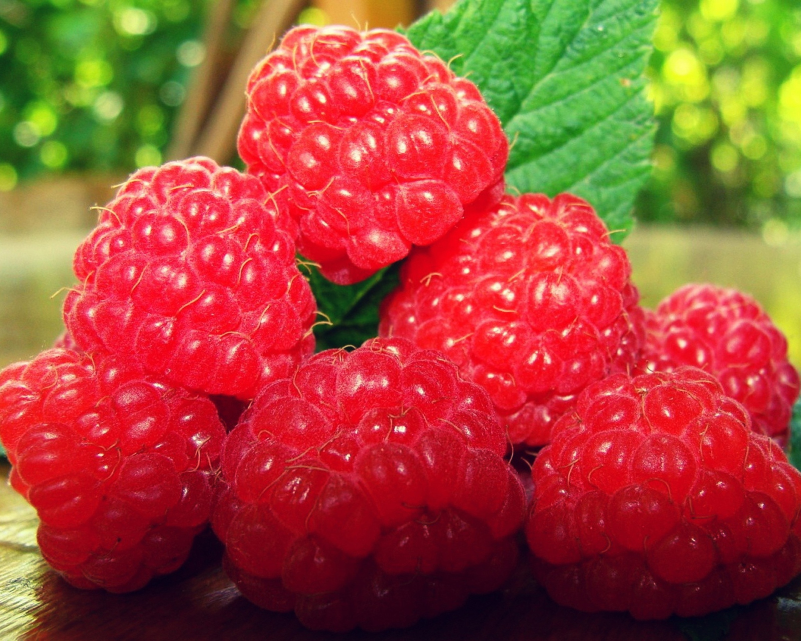 Das Raspberries Wallpaper 1600x1280