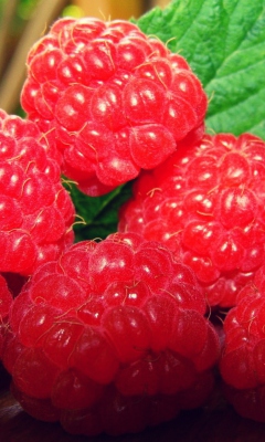 Raspberries wallpaper 240x400