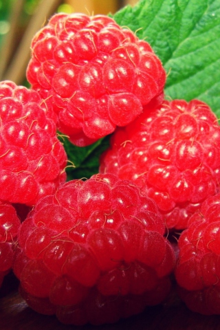 Обои Raspberries 320x480