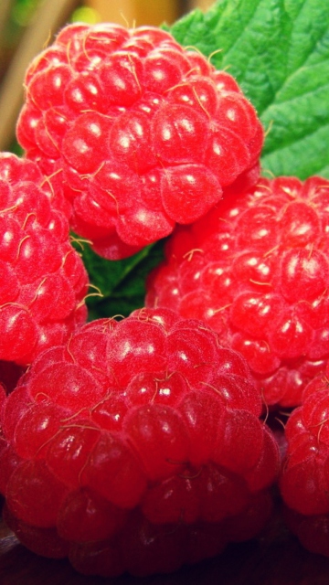 Обои Raspberries 360x640