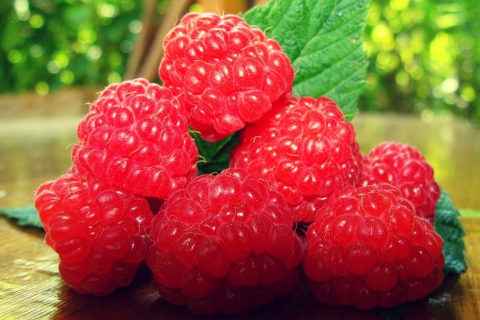Das Raspberries Wallpaper 480x320