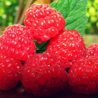 Raspberries sfondi gratuiti per 1024x1024