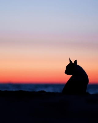 Cat Silhouette sfondi gratuiti per iPhone 6 Plus