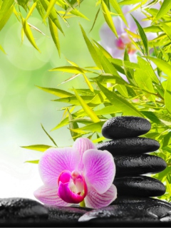 Thai Flowers screenshot #1 240x320