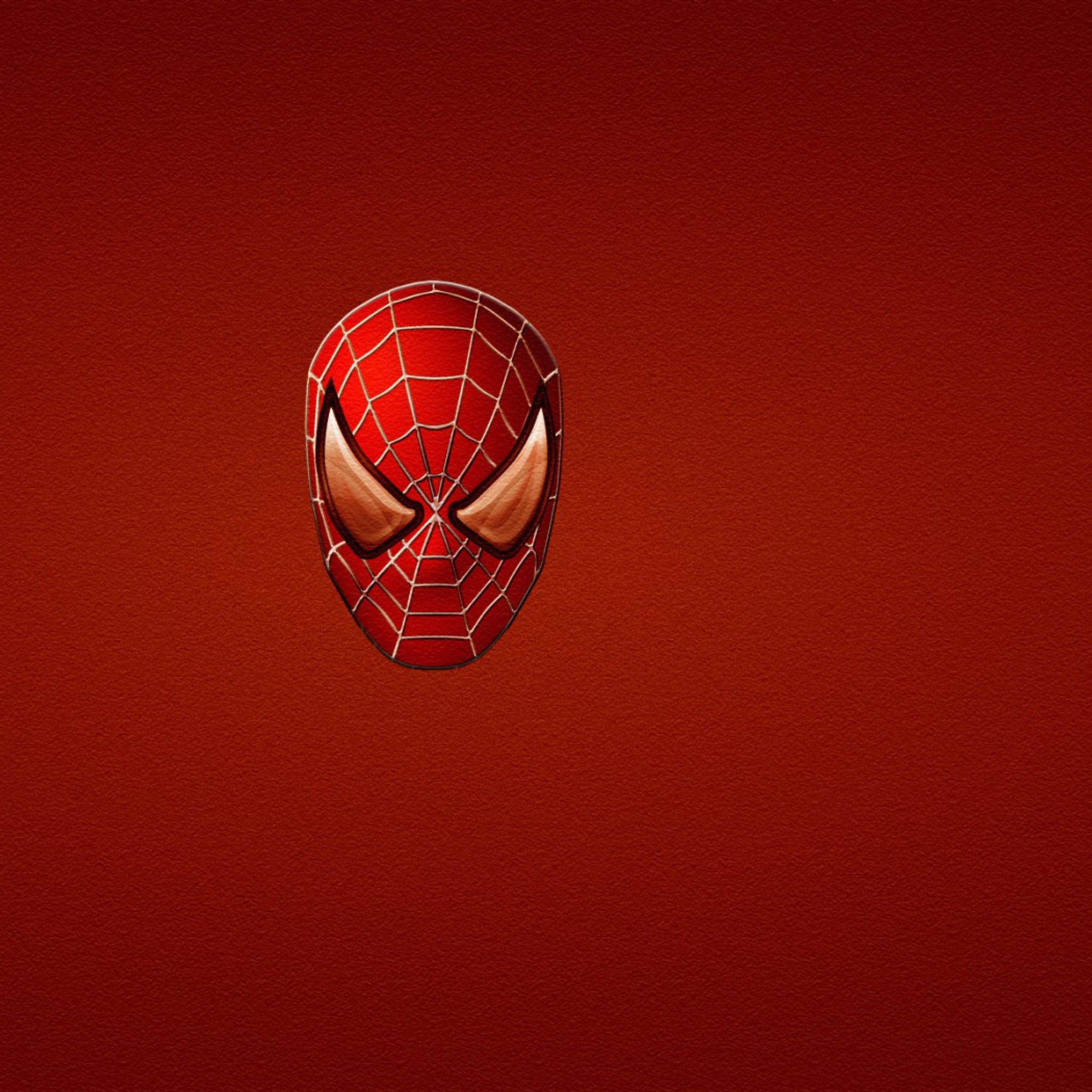 Das Spider Man Wallpaper 2048x2048