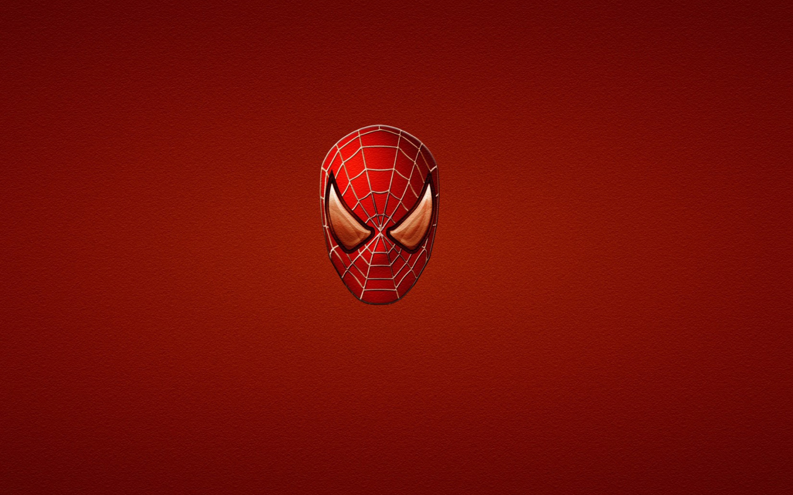 Spider Man wallpaper 2560x1600