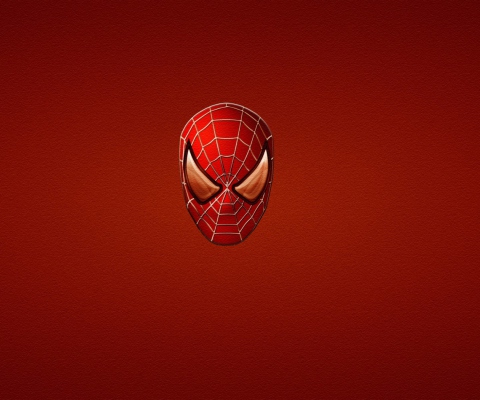 Das Spider Man Wallpaper 480x400