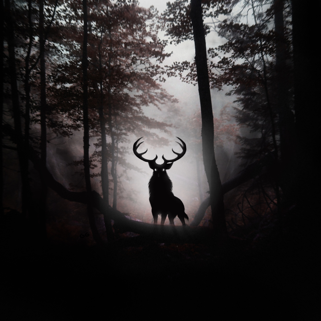 Deer In Dark Forest wallpaper 1024x1024