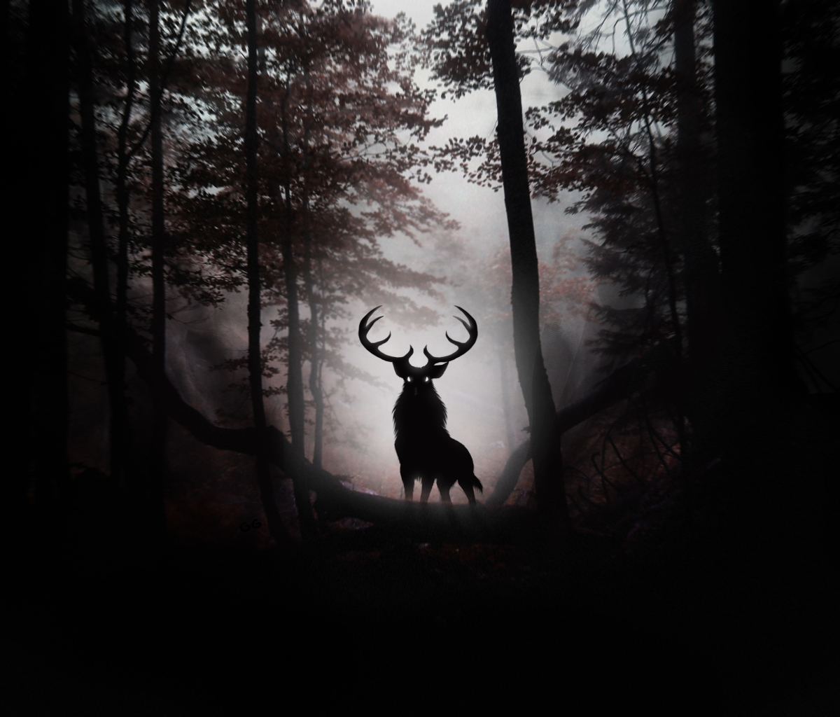 Das Deer In Dark Forest Wallpaper 1200x1024