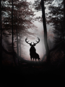 Обои Deer In Dark Forest 132x176