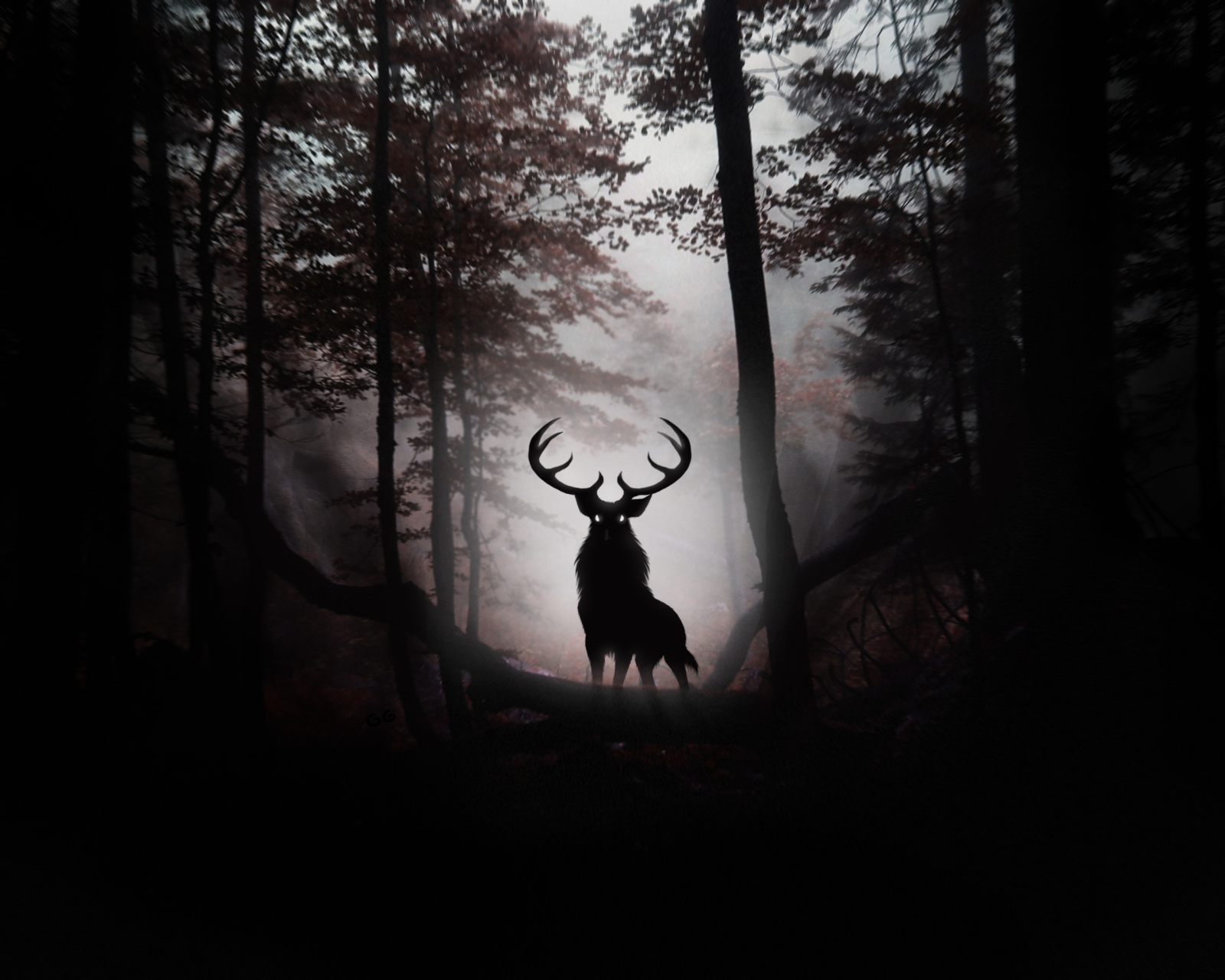 Das Deer In Dark Forest Wallpaper 1600x1280