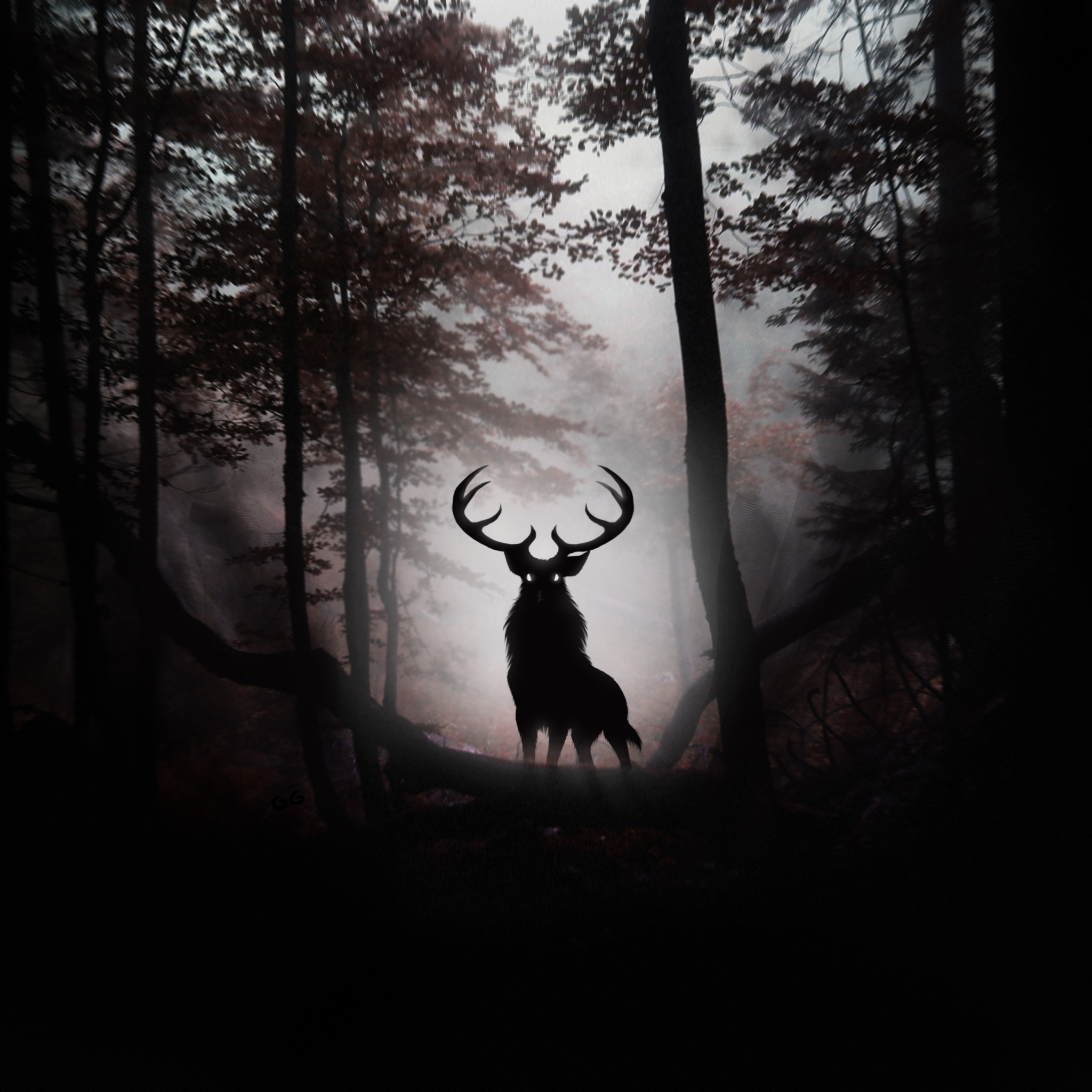 Sfondi Deer In Dark Forest 2048x2048