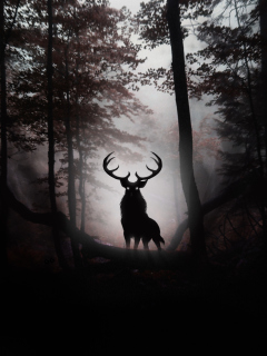 Deer In Dark Forest wallpaper 240x320