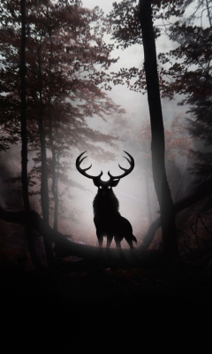 Deer In Dark Forest wallpaper 240x400