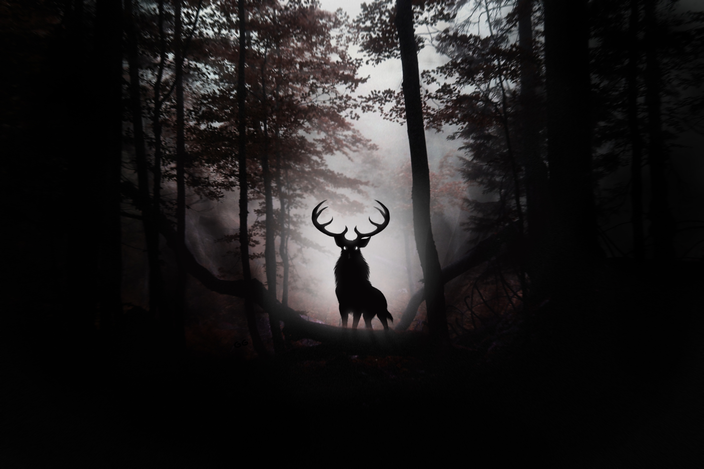 Deer In Dark Forest wallpaper 2880x1920