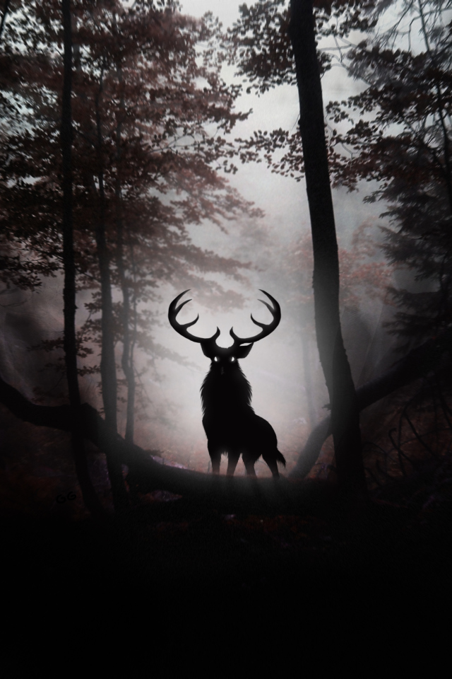 Das Deer In Dark Forest Wallpaper 640x960