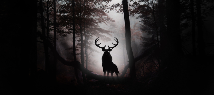 Deer In Dark Forest screenshot #1 720x320