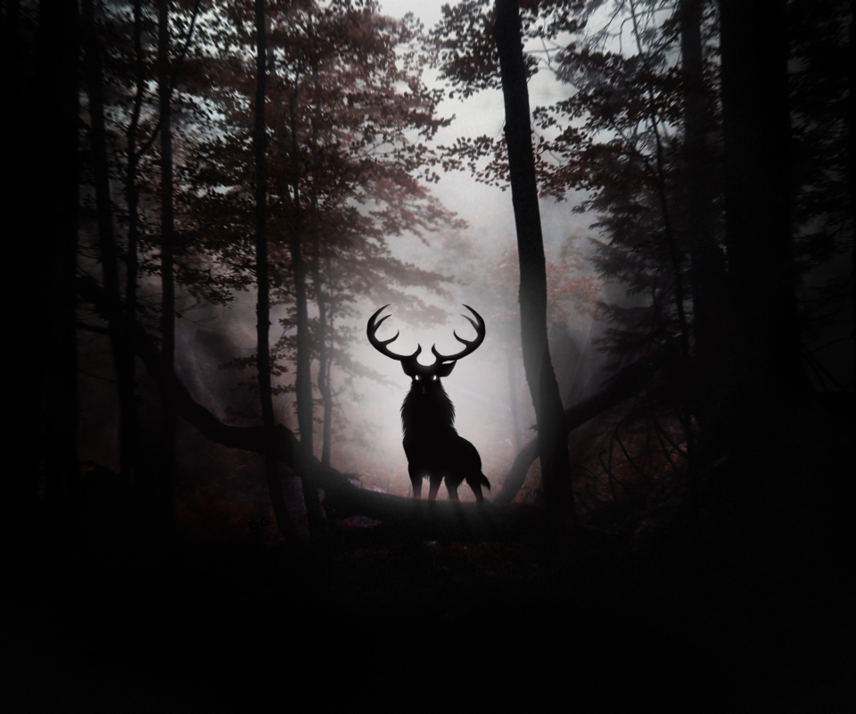 Das Deer In Dark Forest Wallpaper 960x800