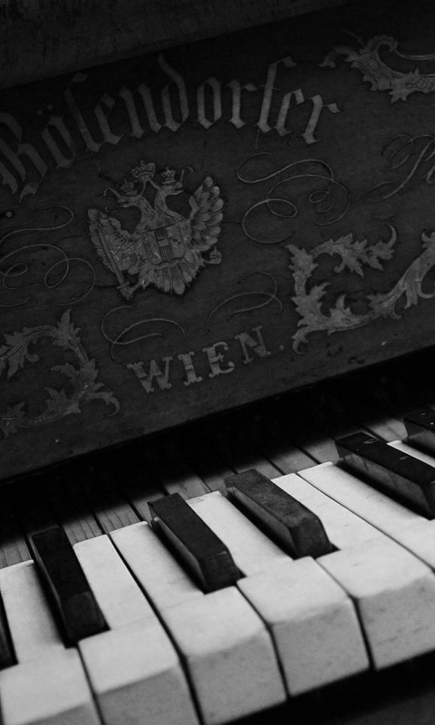 Обои Vienna Piano 480x800