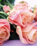 Fondo de pantalla Pink Roses Bouquet 128x160