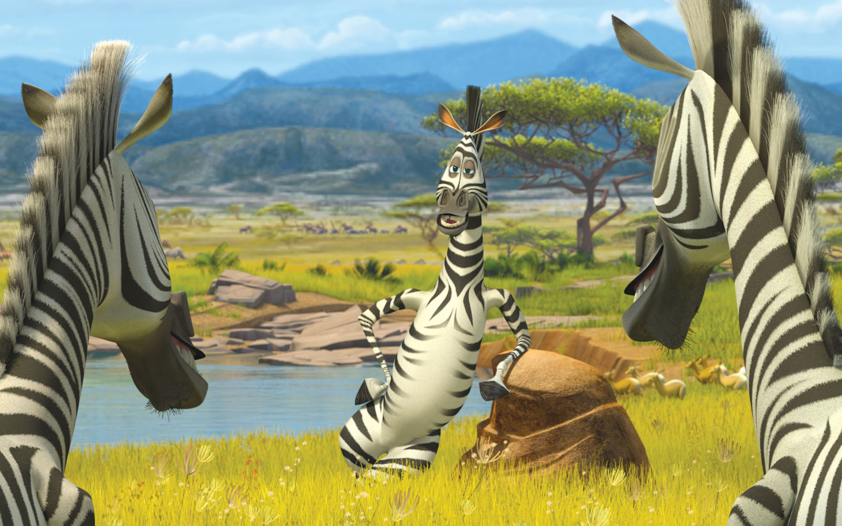 Screenshot №1 pro téma Zebra From Madagascar 1680x1050
