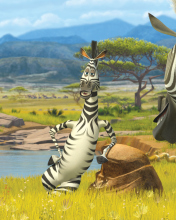 Das Zebra From Madagascar Wallpaper 176x220