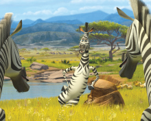 Screenshot №1 pro téma Zebra From Madagascar 220x176