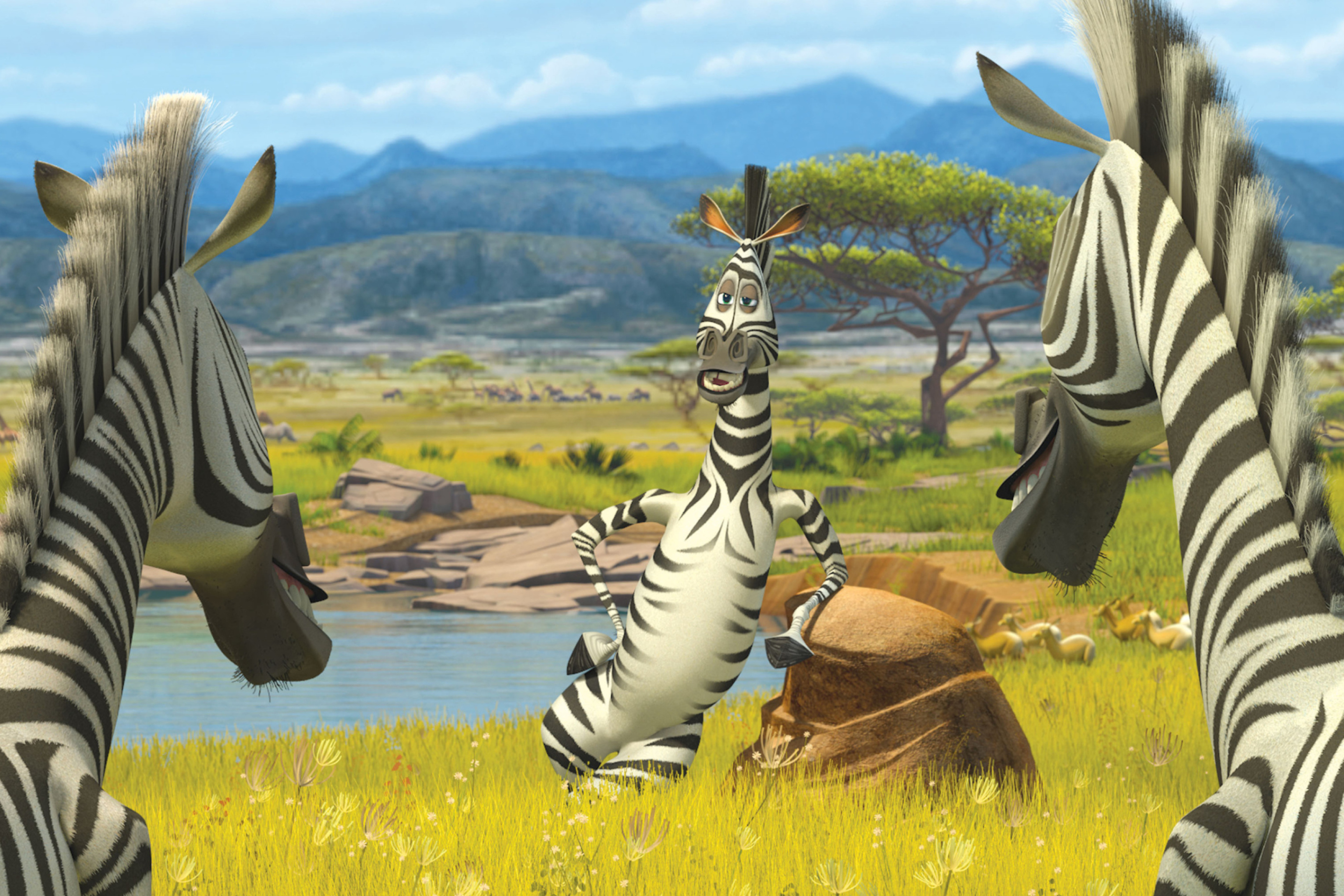 Zebra From Madagascar wallpaper 2880x1920