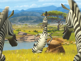 Das Zebra From Madagascar Wallpaper 320x240