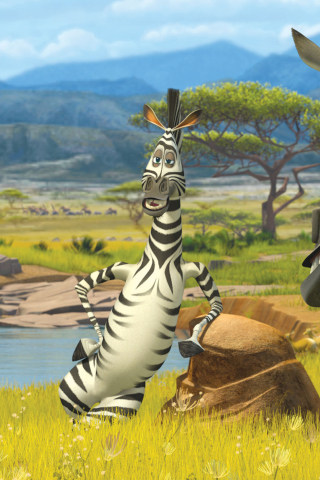 Das Zebra From Madagascar Wallpaper 320x480