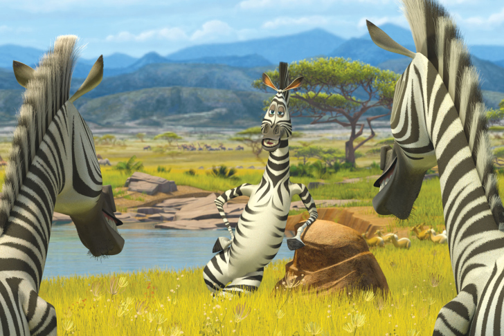 Das Zebra From Madagascar Wallpaper