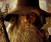 Gandalf screenshot #1 176x144