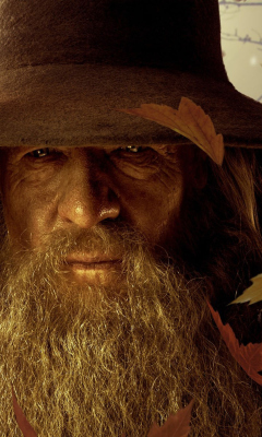 Gandalf screenshot #1 240x400