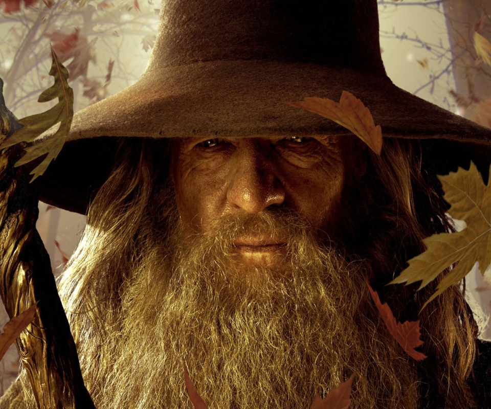 Das Gandalf Wallpaper 960x800