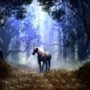 Fondo de pantalla Fantasy Horse 128x128