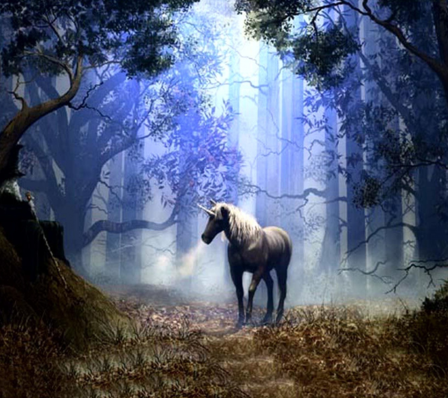 Fantasy Horse wallpaper 1440x1280