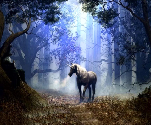 Fantasy Horse wallpaper 480x400