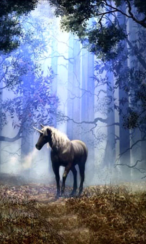 Fondo de pantalla Fantasy Horse 480x800