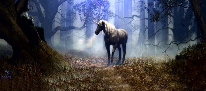 Fantasy Horse wallpaper 720x320