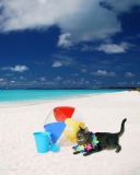 Fondo de pantalla Cat On The Beach 128x160