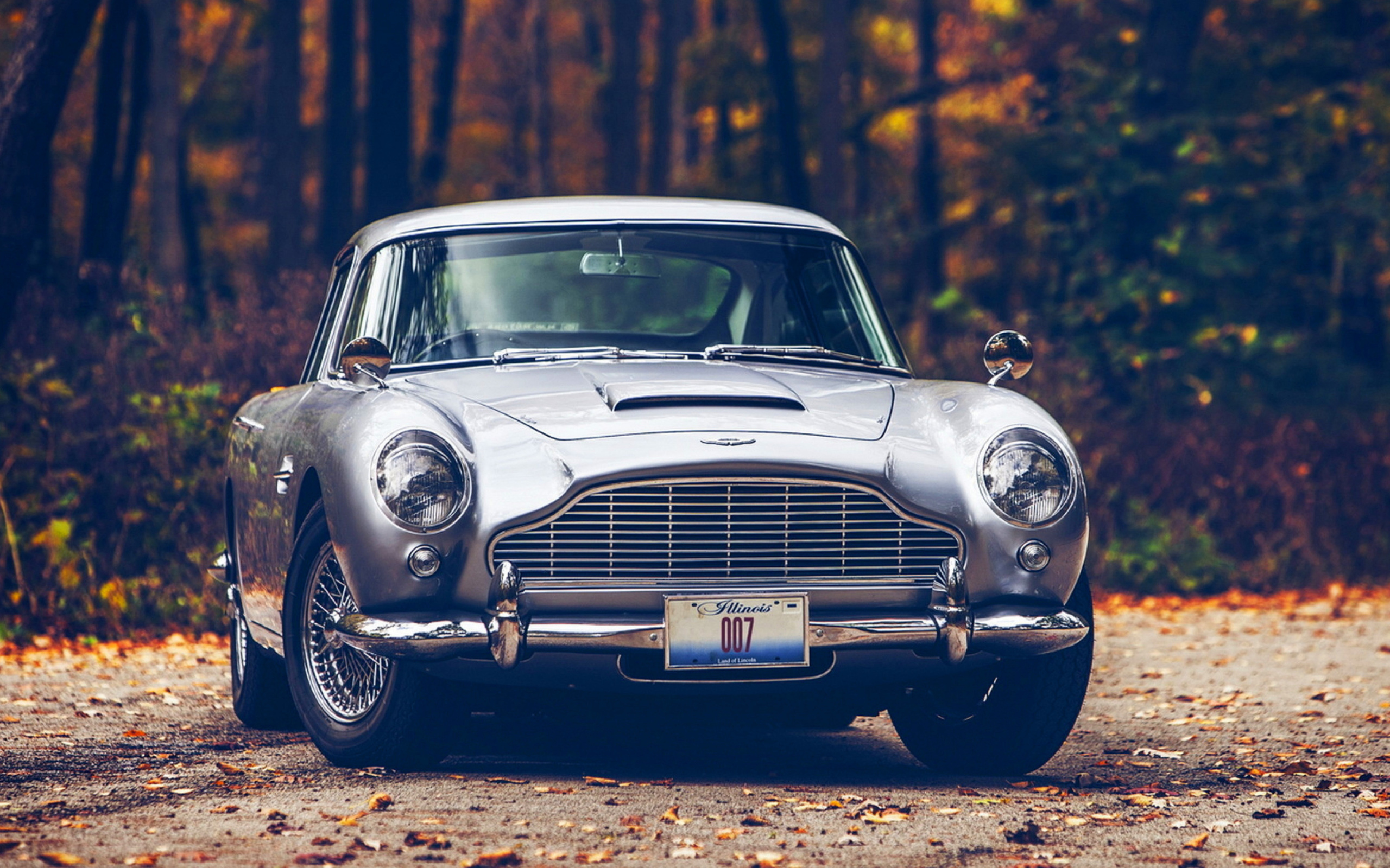 Screenshot №1 pro téma Aston Martin DB5 2560x1600